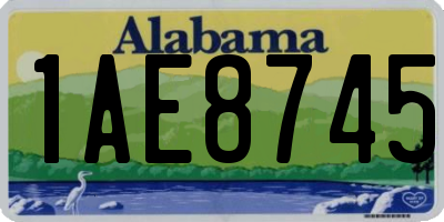 AL license plate 1AE8745