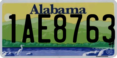 AL license plate 1AE8763