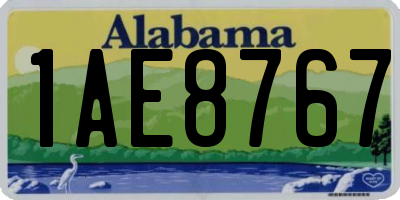 AL license plate 1AE8767