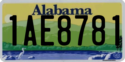 AL license plate 1AE8781