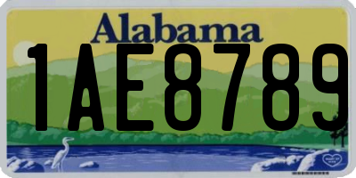 AL license plate 1AE8789