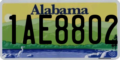 AL license plate 1AE8802