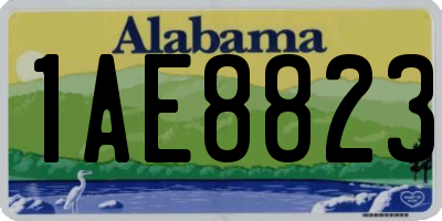 AL license plate 1AE8823
