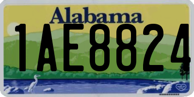 AL license plate 1AE8824