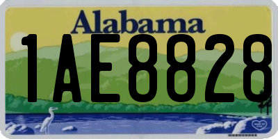 AL license plate 1AE8828