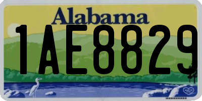 AL license plate 1AE8829