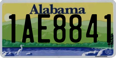 AL license plate 1AE8841