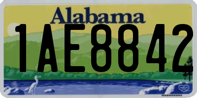 AL license plate 1AE8842