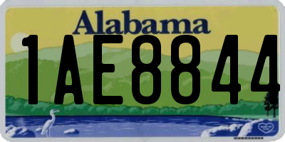 AL license plate 1AE8844