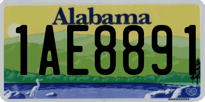 AL license plate 1AE8891