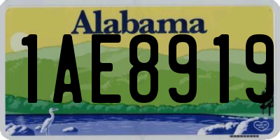 AL license plate 1AE8919