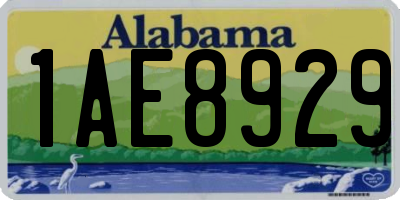 AL license plate 1AE8929