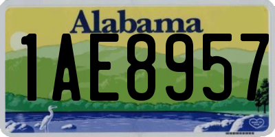 AL license plate 1AE8957