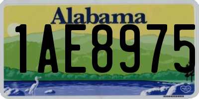 AL license plate 1AE8975