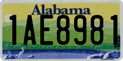 AL license plate 1AE8981