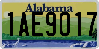 AL license plate 1AE9017