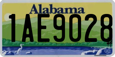 AL license plate 1AE9028