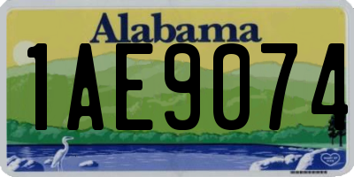 AL license plate 1AE9074