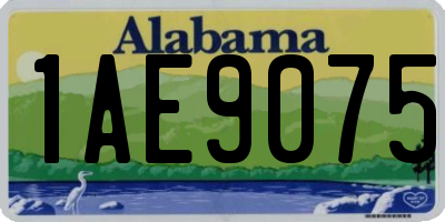AL license plate 1AE9075