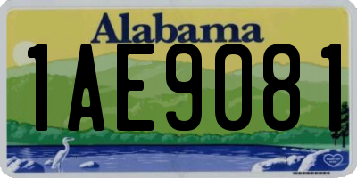 AL license plate 1AE9081
