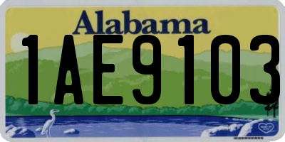 AL license plate 1AE9103
