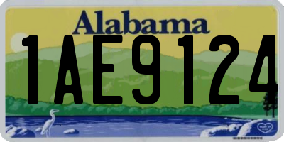 AL license plate 1AE9124