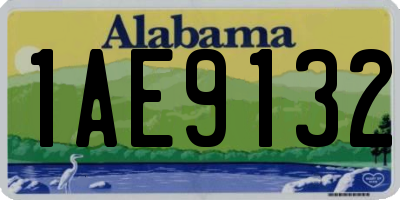 AL license plate 1AE9132