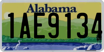 AL license plate 1AE9134