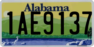 AL license plate 1AE9137