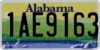 AL license plate 1AE9163