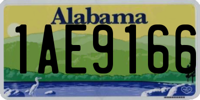 AL license plate 1AE9166