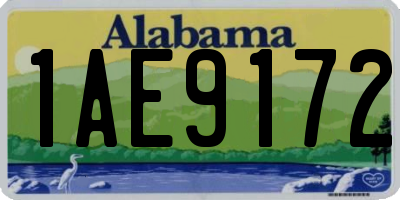 AL license plate 1AE9172