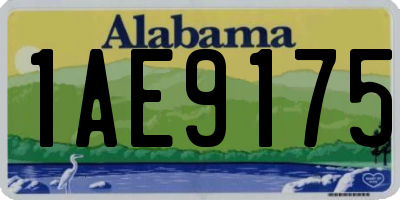 AL license plate 1AE9175