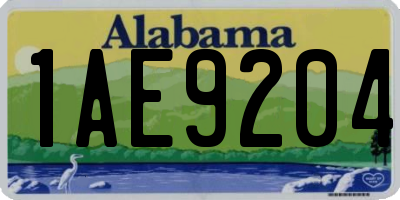 AL license plate 1AE9204