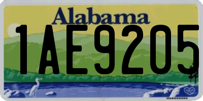 AL license plate 1AE9205