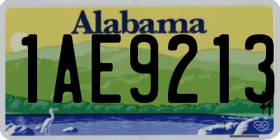 AL license plate 1AE9213