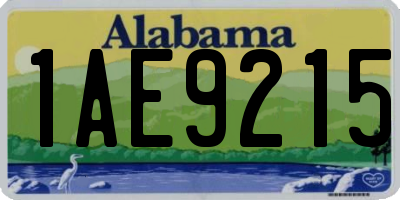 AL license plate 1AE9215