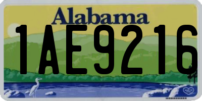 AL license plate 1AE9216