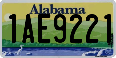 AL license plate 1AE9221