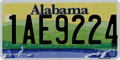 AL license plate 1AE9224