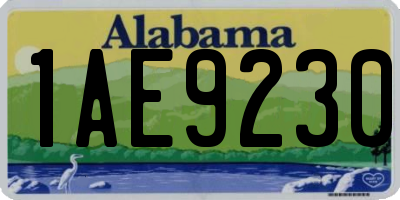 AL license plate 1AE9230