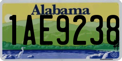 AL license plate 1AE9238