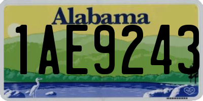 AL license plate 1AE9243