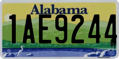 AL license plate 1AE9244