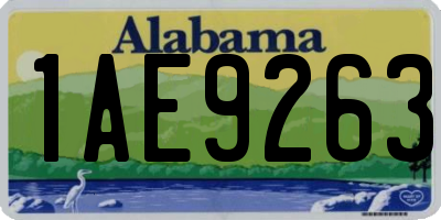 AL license plate 1AE9263