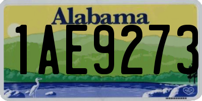 AL license plate 1AE9273
