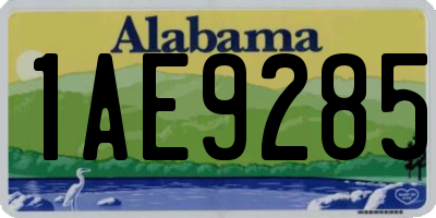 AL license plate 1AE9285