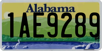 AL license plate 1AE9289