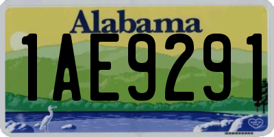 AL license plate 1AE9291