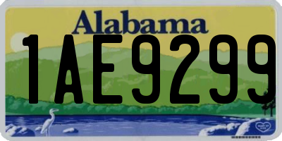 AL license plate 1AE9299
